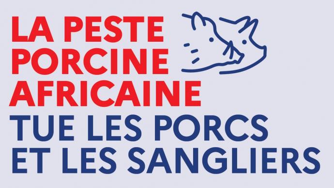 Santé animale : une campagne de prévention pour protéger le territoire français de la peste porcine africaine