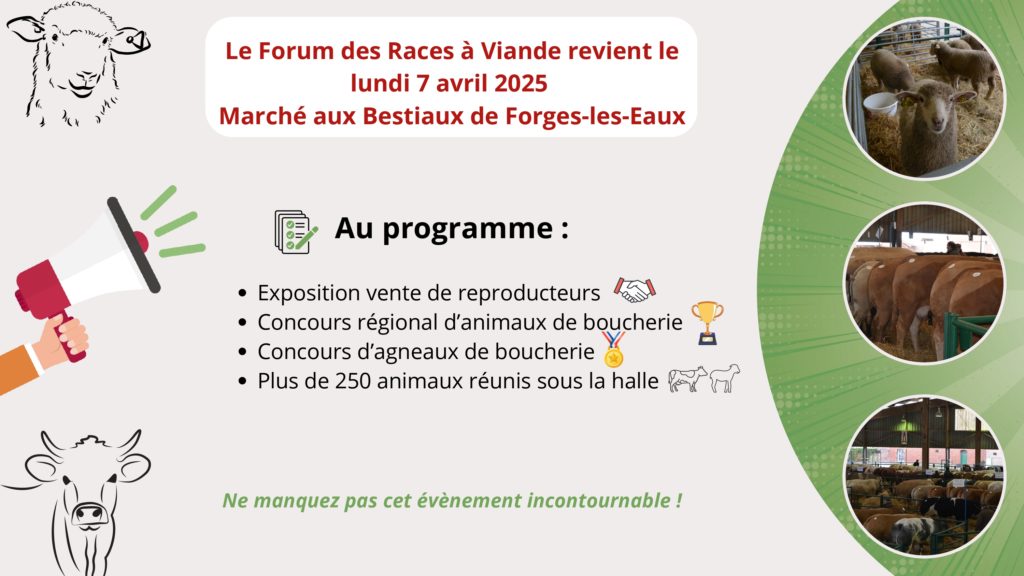 Forum des races à viande