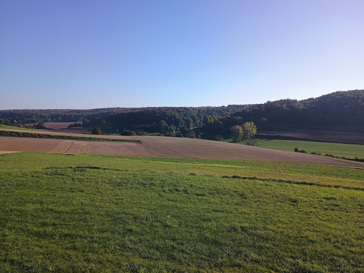 Assurance récolte : cotisation à régler avant le 31 octobre